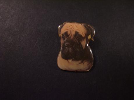 Bullmastiff, groot hondenras